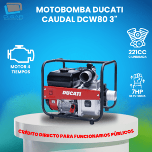 Motobomba Ducati Caudal DCW80 Disar 3346 copia cf
